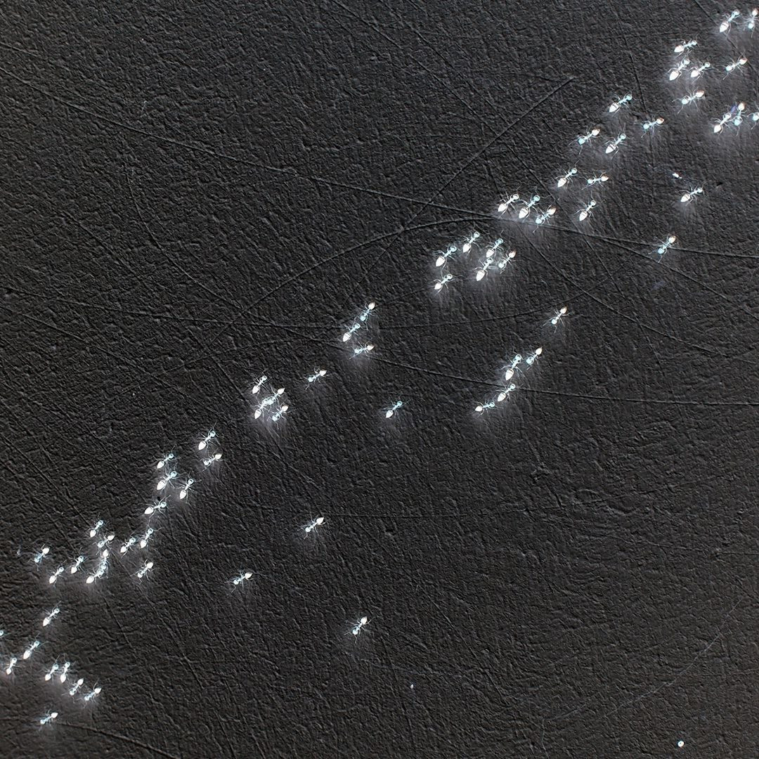 SlimeHive installation — exhibition view 3